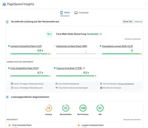 Google PageSpeed Insights Score